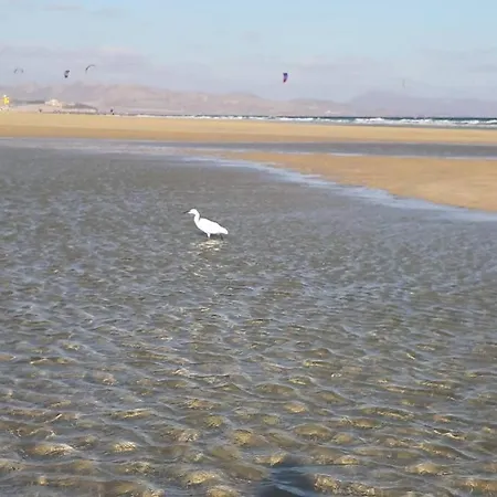 Casa Laura Appartamento